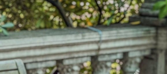 5 bedrooms Apartment in Camaiore, Italy No. 347280 36