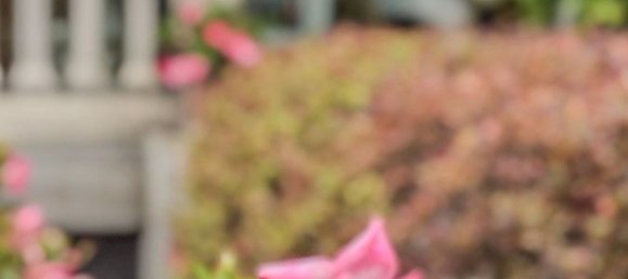 5 bedrooms Apartment in Camaiore, Italy No. 347280 50