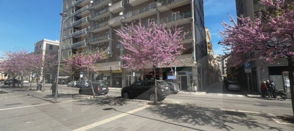 1-Zimmer Gewerbliche Immobilie in Bari, Italy, Nr. 33854 3