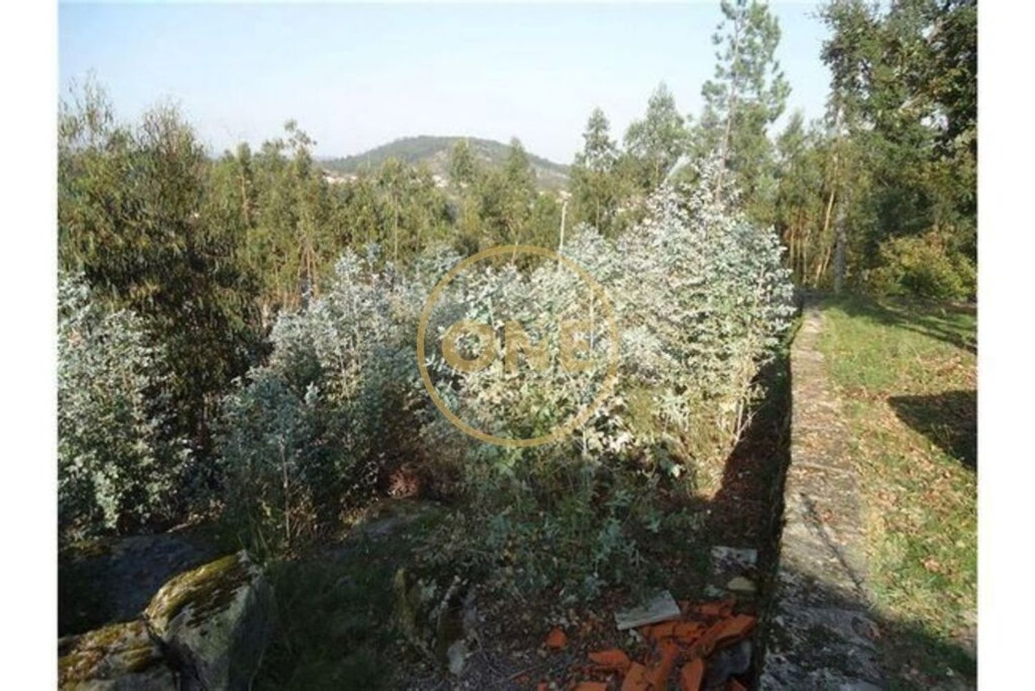 Terreno em Vila Nova de Famalicão, Portugal 15000 m² N.º 34938