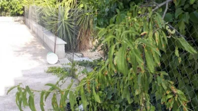 2 Schlafzimmer Haus in Almeria, Spain, Nr. 140824