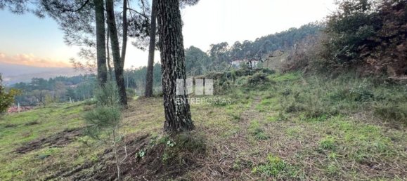 2500m² Land in Marco de Canaveses, Portugal No. 61768 26