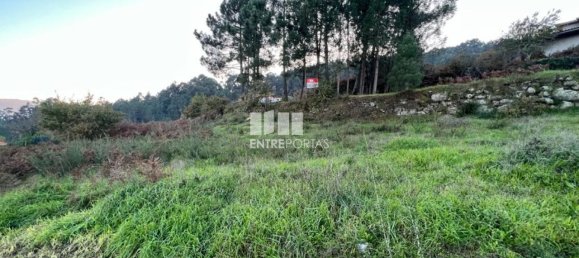 2500m² Land in Marco de Canaveses, Portugal No. 61768 23