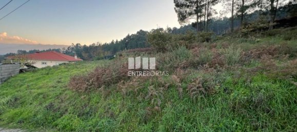 2500m² Land in Marco de Canaveses, Portugal No. 61768 16