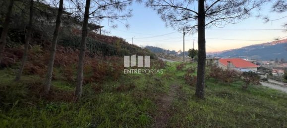 2500m² Land in Marco de Canaveses, Portugal No. 61768 17