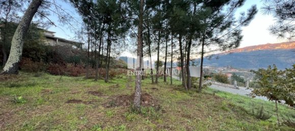 2500m² Land in Marco de Canaveses, Portugal No. 61768 12