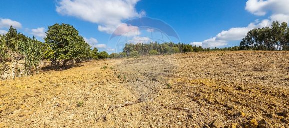 4 bedrooms House in Rio Maior, Portugal No. 30631 7