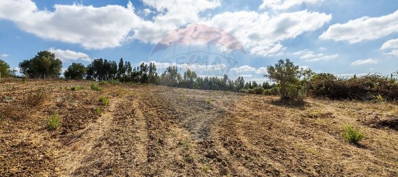 4 bedrooms House in Rio Maior, Portugal No. 30631 10