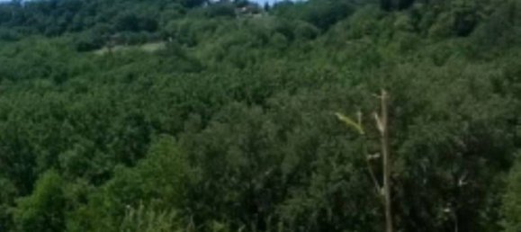 875m² Land in Sogliano al Rubicone, Italy No. 373017 6