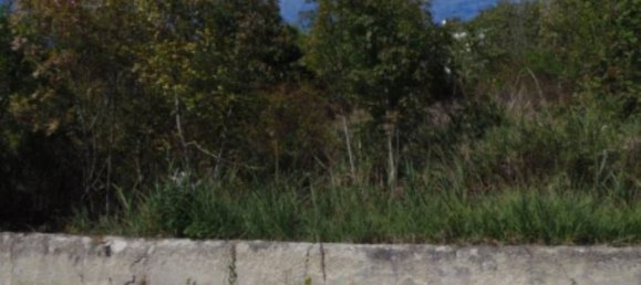 875m² Land in Sogliano al Rubicone, Italy No. 373017 3