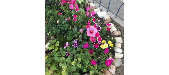 5 Schlafzimmer Haus in Rio de Mouro, Portugal, Nr. 166136 5