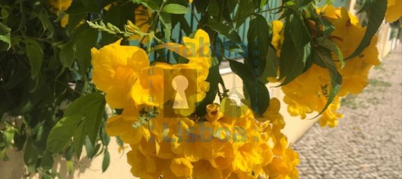 5 Schlafzimmer Haus in Rio de Mouro, Portugal, Nr. 166136 3