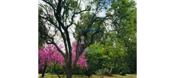 5 Schlafzimmer Haus in Rio de Mouro, Portugal, Nr. 166136 7