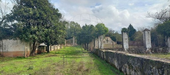 11 bedrooms House in Alvaiazere, Portugal No. 19622 15