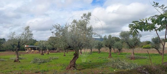 11 bedrooms House in Alvaiazere, Portugal No. 19622 5
