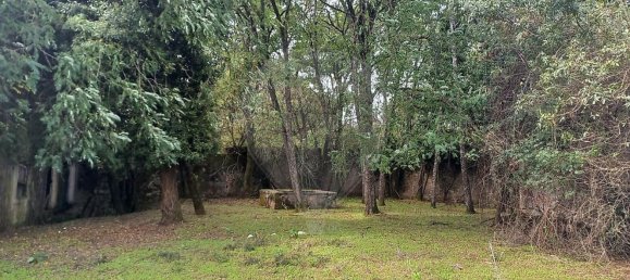 11 bedrooms House in Alvaiazere, Portugal No. 19622 21