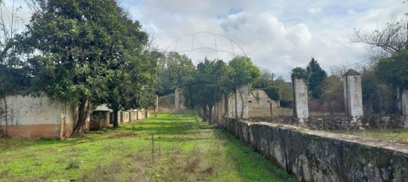 11 bedrooms House in Alvaiazere, Portugal No. 19622 45