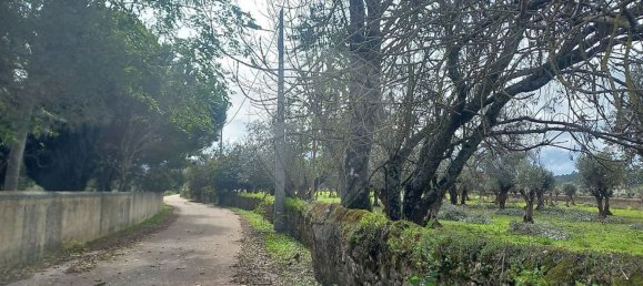 11 bedrooms House in Alvaiazere, Portugal No. 19622 38