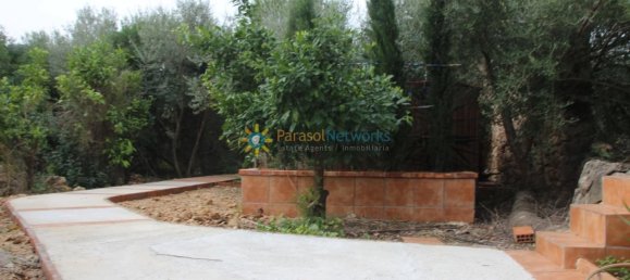 1 bedroom House in Valencia, Spain No. 135290 30