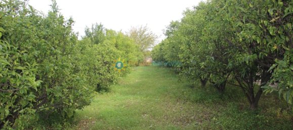 1 bedroom House in Valencia, Spain No. 135290 38