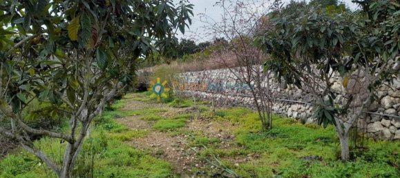 1 bedroom House in Valencia, Spain No. 135290 39