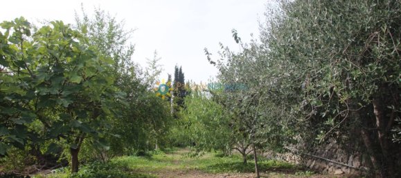 1 bedroom House in Valencia, Spain No. 135290 35