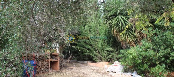 1 bedroom House in Valencia, Spain No. 135290 28