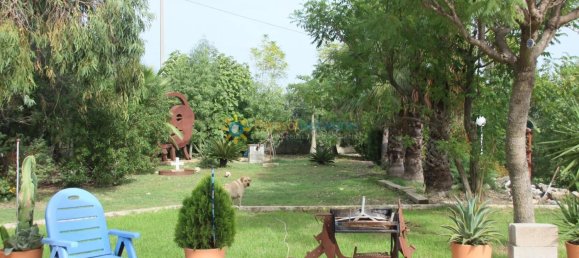 1 bedroom House in Valencia, Spain No. 135290 32