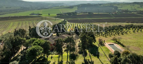 40 rooms House in Castiglione del Lago, Italy No. 5161 4