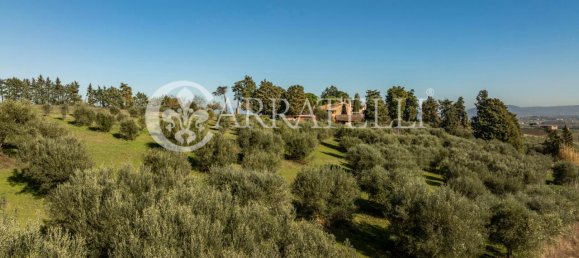 40 rooms House in Castiglione del Lago, Italy No. 5161 19