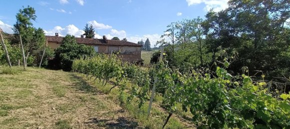 7-Zimmer Haus in Agliano Terme, Italy, Nr. 126081 19