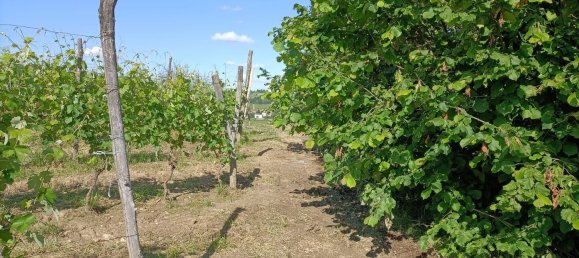 7-Zimmer Haus in Agliano Terme, Italy, Nr. 126081 20