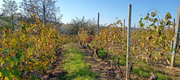 7-Zimmer Haus in Agliano Terme, Italy, Nr. 126081 10