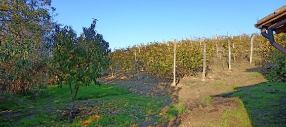 7-Zimmer Haus in Agliano Terme, Italy, Nr. 126081 8