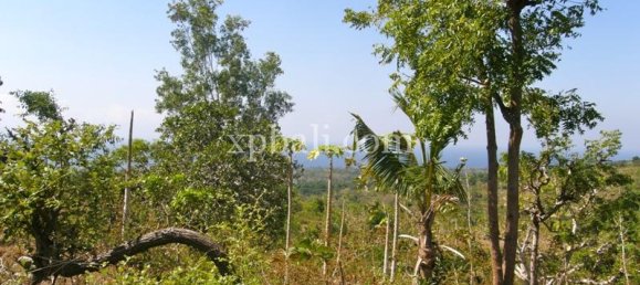 Земельный участок 13500м² в Nusa Penida, Индонезия № 3864 3