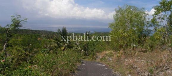 Земельный участок 13500м² в Nusa Penida, Индонезия № 3864 4