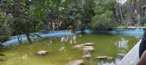 5 Schlafzimmer Haus in Sintra, Portugal, Nr. 48976 3