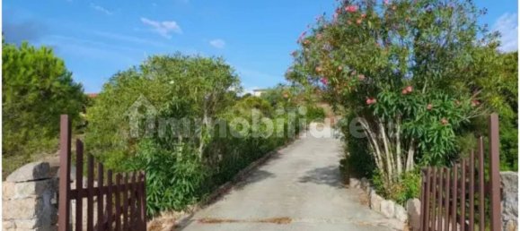 5غرفة فيلا في Santa Teresa Gallura, Italy رقم 173551 5