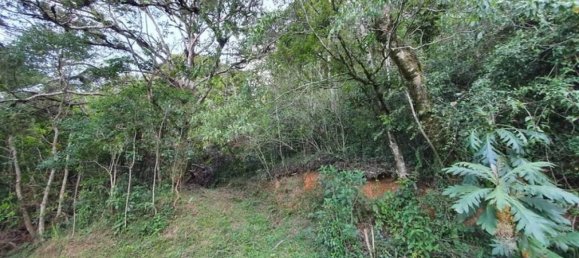 Grundstück in Aserri, Costa Rica, Nr. 1866 2