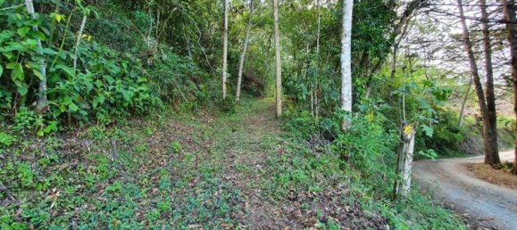 Grundstück in Aserri, Costa Rica, Nr. 1866 4