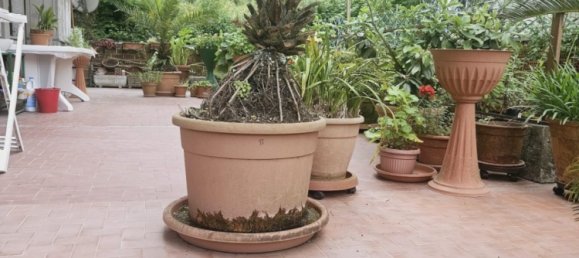 Квартира с 4 спальнями в Каррара, Италия № 195693 28