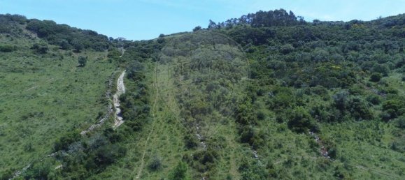 10720m² Land in Sintra, Portugal No. 67429 4