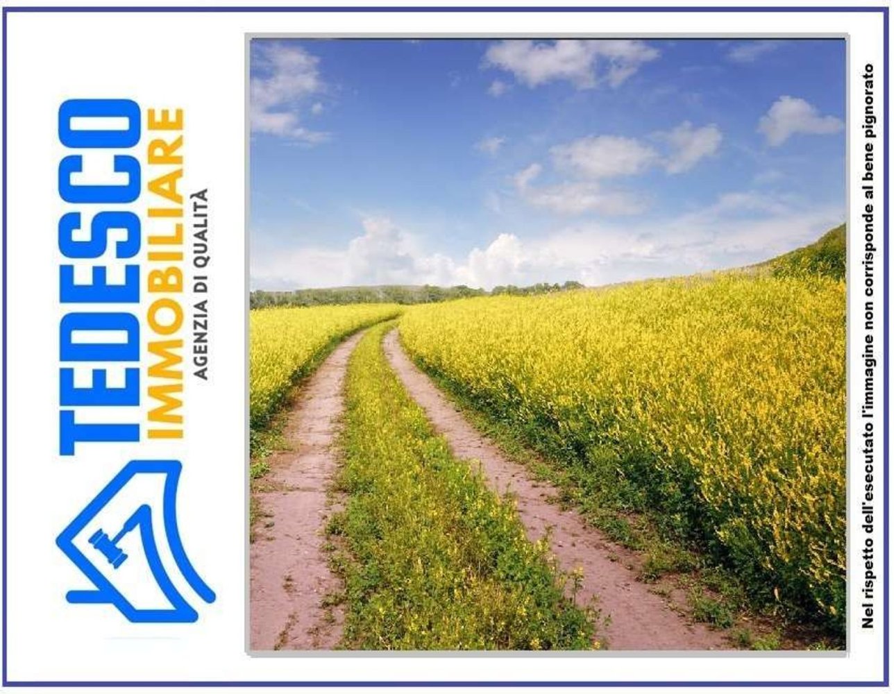 14120m² Land in Paduli, Italy No. 297846