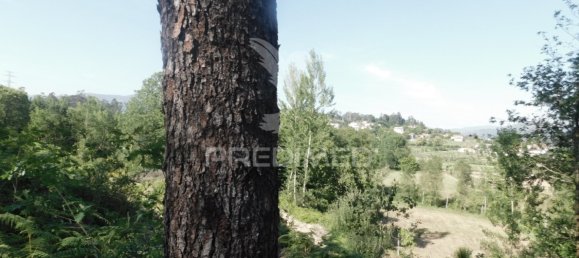 1210m² Land in Geme, Portugal No. 43475 8