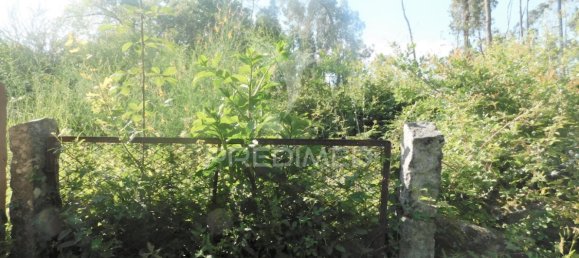 1210m² Land in Geme, Portugal No. 43475 7