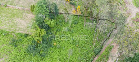 1210m² Land in Geme, Portugal No. 43475 2