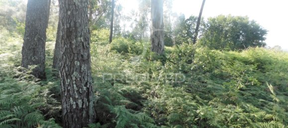 1210m² Land in Geme, Portugal No. 43475 6