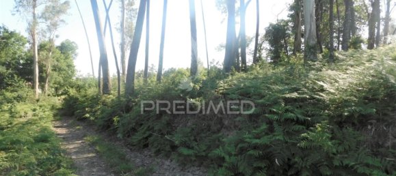 1210m² Land in Geme, Portugal No. 43475 5