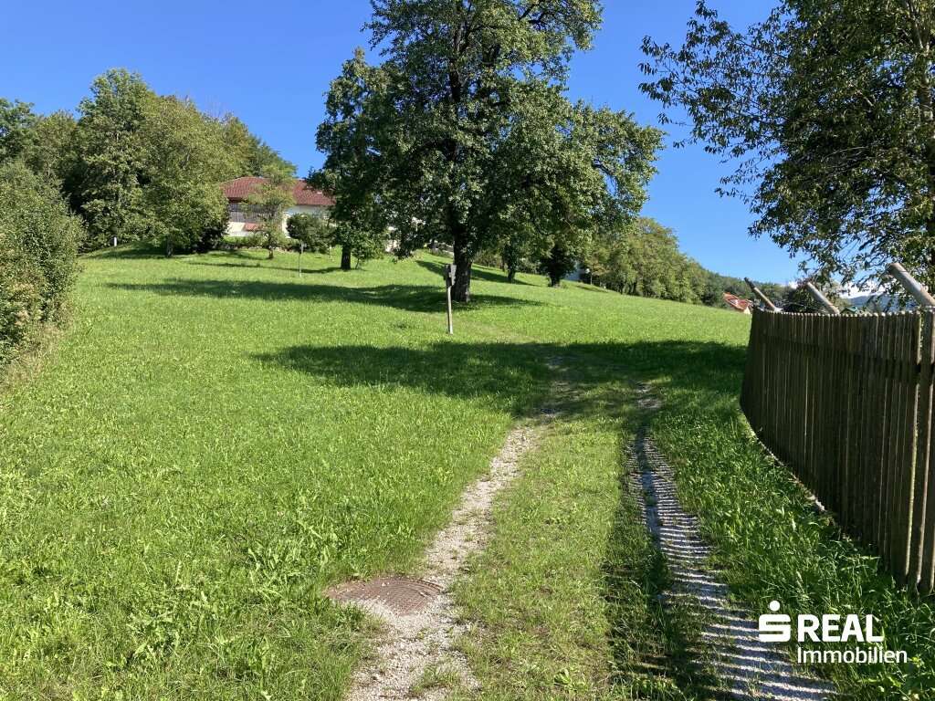 Земельный участок в Кирхдорф ан дер Кремс, Австрия № 49476