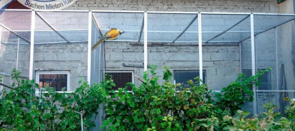 Дом с 4 спальнями в Целлерндорф, Австрия № 217877 20